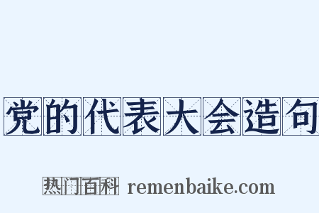 党的代表大会造句是什么意思的图片